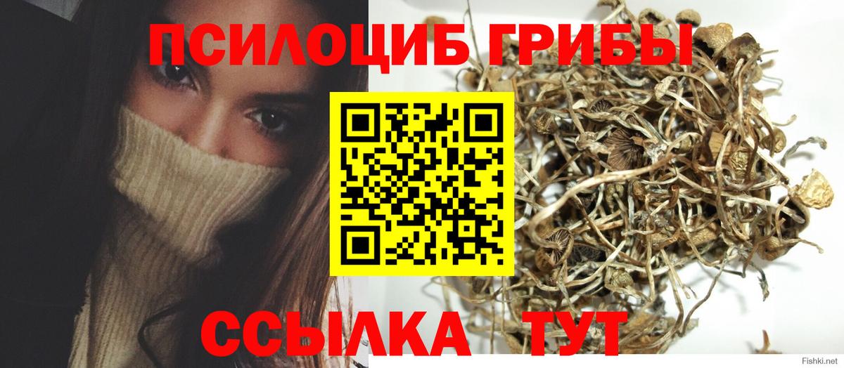 Галлюциногенные грибы мухоморы  Галлюциногенные грибы прущие грибы  сколько стоит  Зерноград  Вход с VPN 
